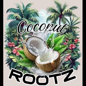 Coconut Rootz – What Makes Us Shine artwork