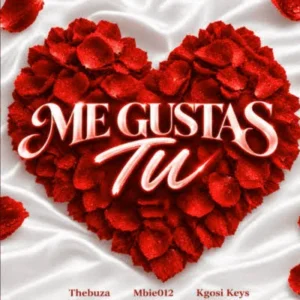 Thebuza – Me Gustas Tu Ft Kgosi keys & MBIE012 artwork