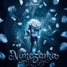 YPrince TZ – Nimezama cover artwork