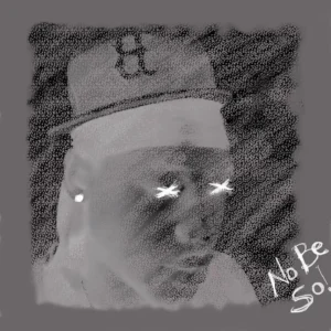 Pandamonae – No Be So artwork