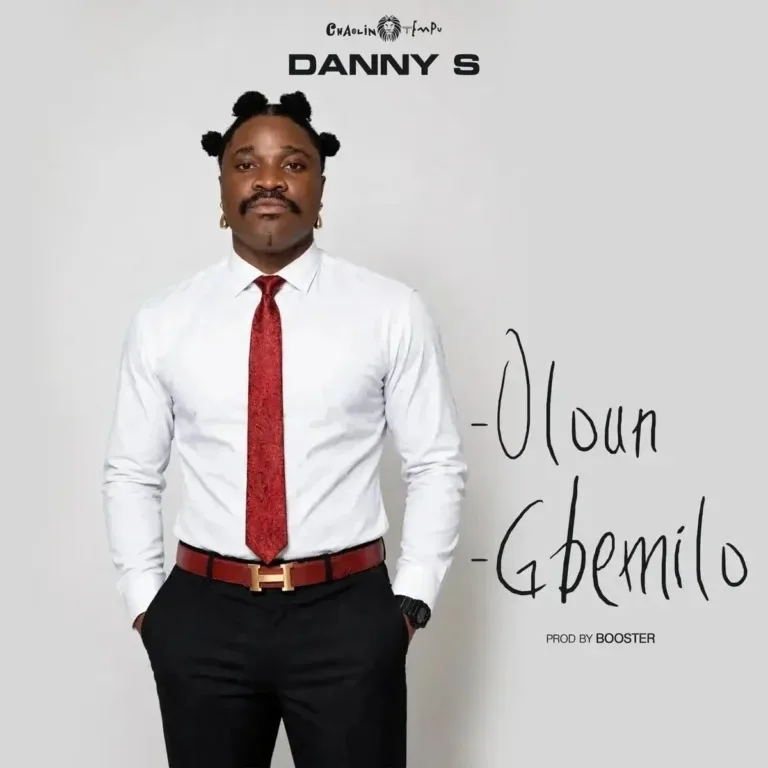 Danny S – Oloun cover artwork